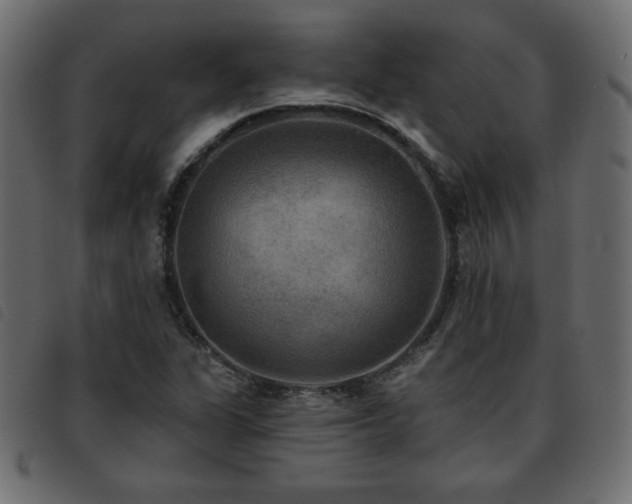X0000093581311200710151137