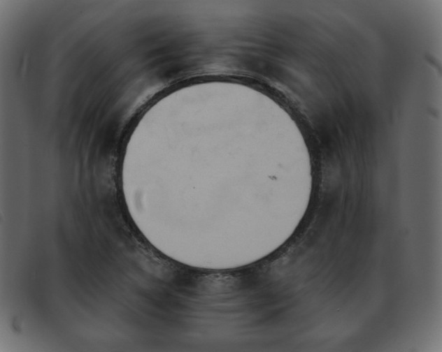 X0000093581314200710151137