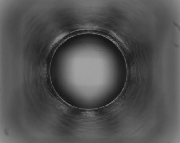 X0000093581315200710151137