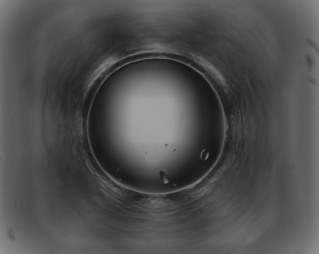 X0000093581318200710151137