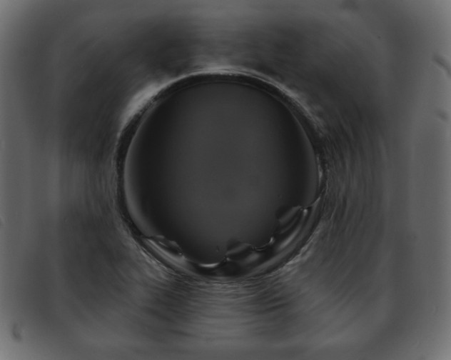 X0000093581319200710151137