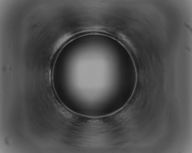 X0000093581320200710151137
