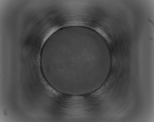 X0000093581325200710151137