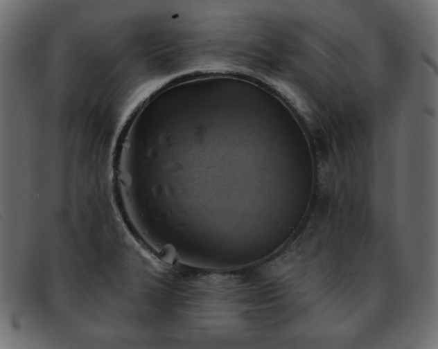 X0000093581327200710151137