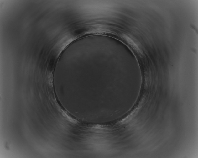 X0000093581329200710151137