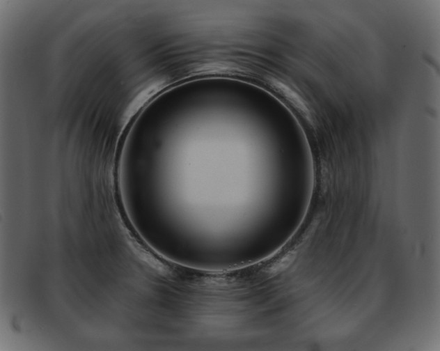 X0000093581330200710151137