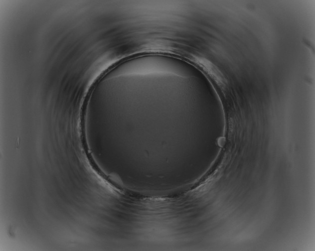 X0000093581331200710151137