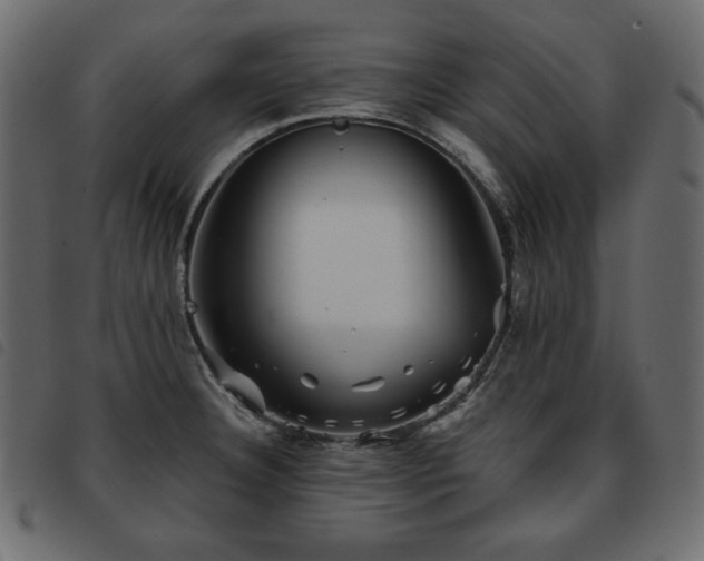 X0000093581332200710151137