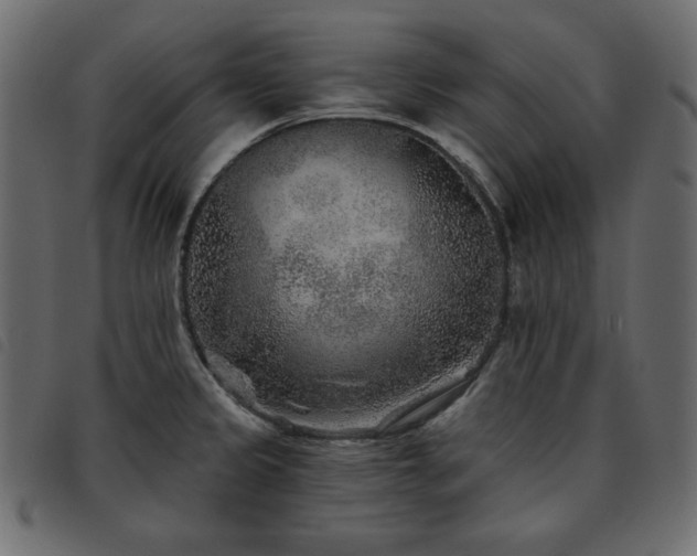 X0000093581333200710151137