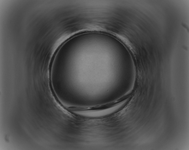 X0000093581335200710151137