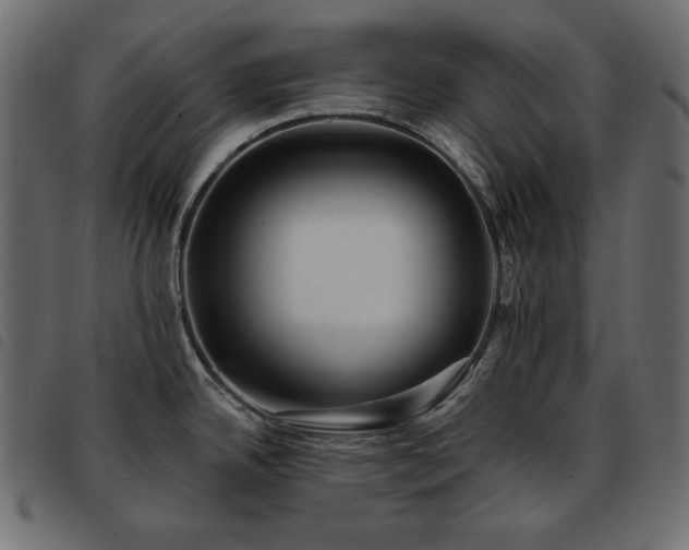 X0000093581342200710151138