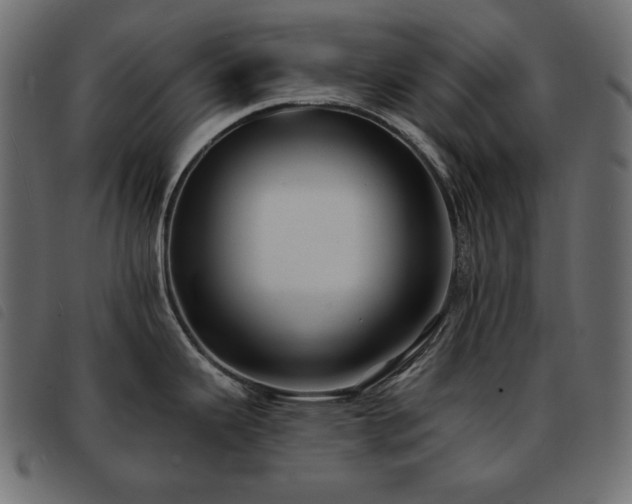 X0000093581343200710151138