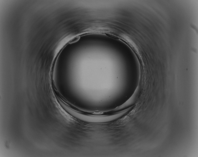 X0000093581344200710151138