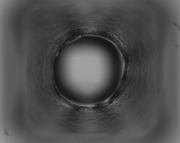X0000093581345200710151137