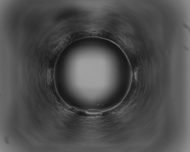 X0000093581347200710151137