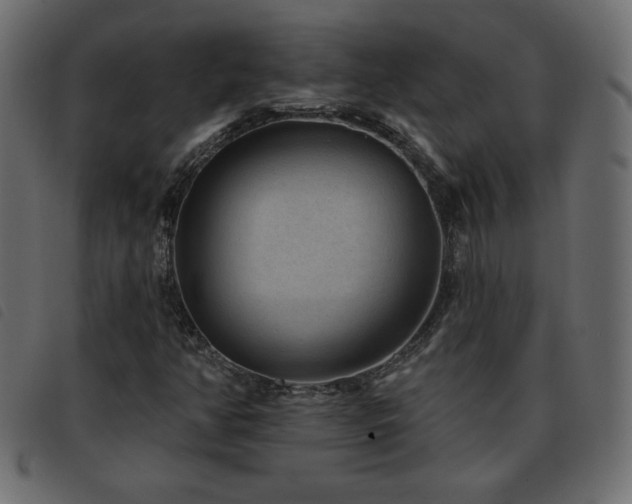 X0000093581350200710151137