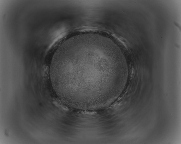 X0000093581351200710151137