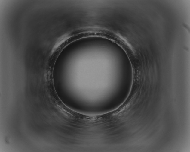 X0000093581352200710151137