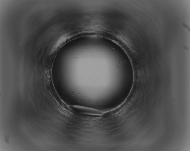 X0000093581355200710151137