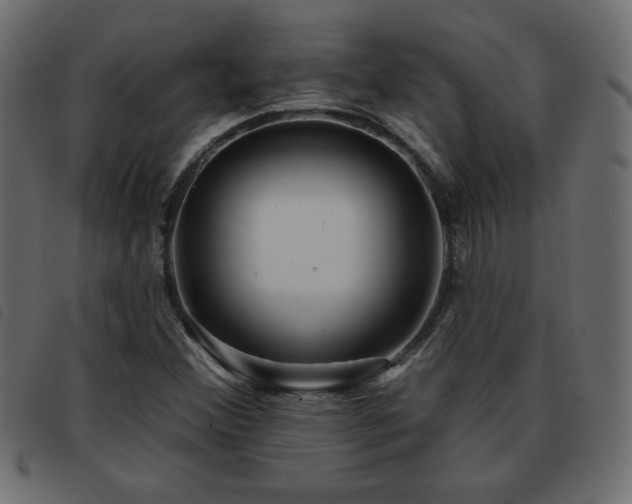 X0000093581356200710151137