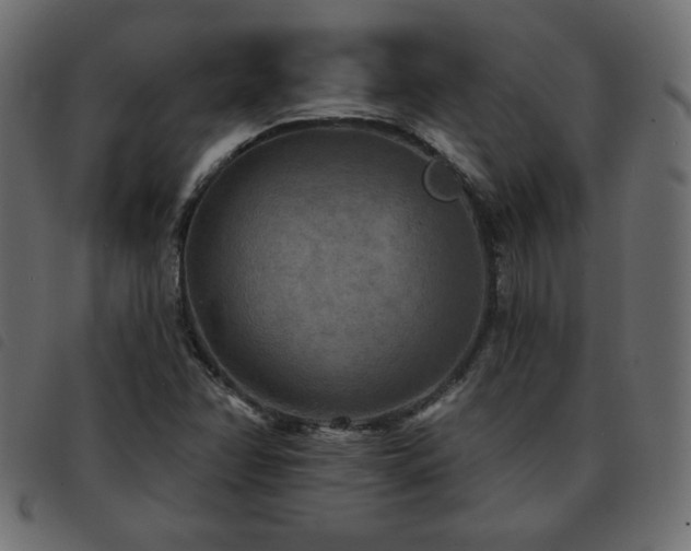 X0000093581358200710151137