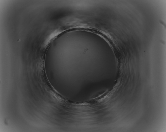 X0000093581359200710151137
