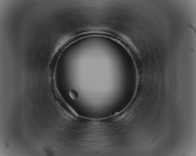 X0000093581360200710151137