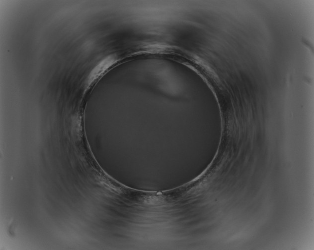 X0000093581362200710151137