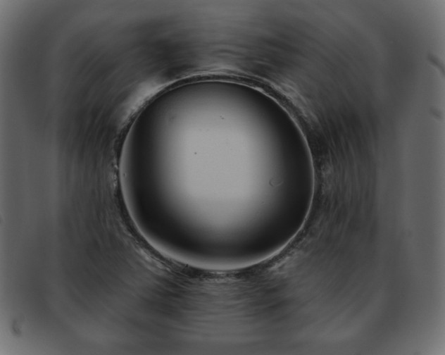 X0000093581363200710151137