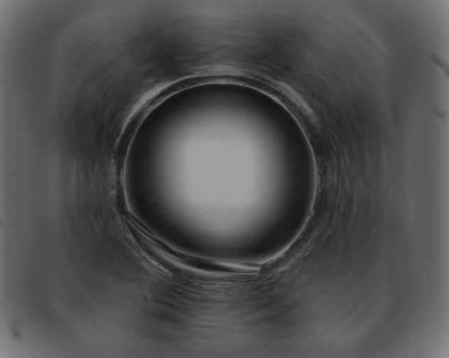 X0000093581364200710151137