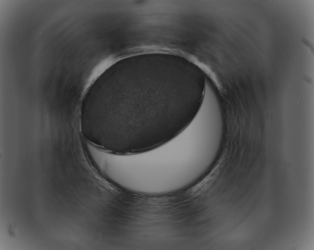 X0000093581365200710151137