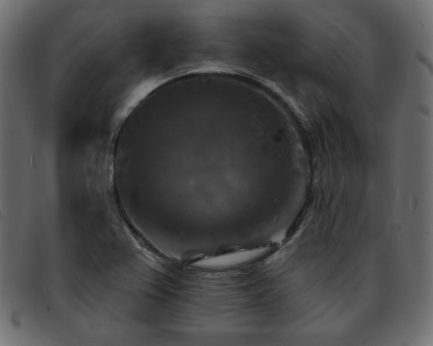 X0000093581367200710151137