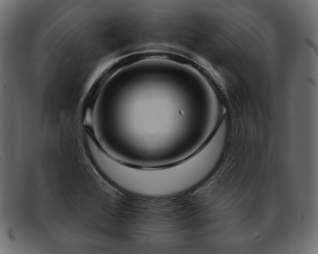 X0000093581368200710151137