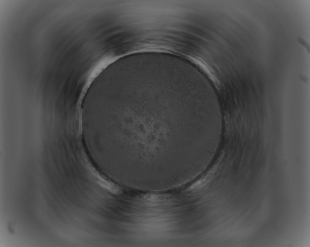 X0000093581371200710151137
