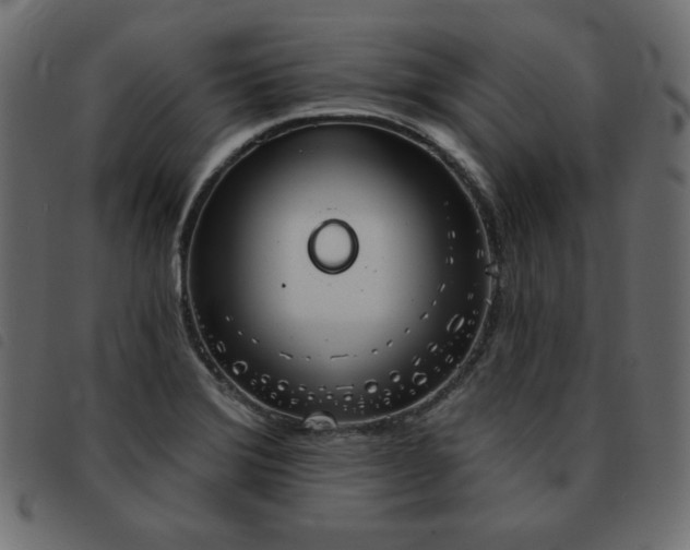 X0000093581372200710151137