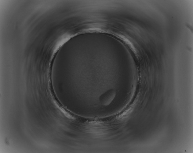 X0000093581373200710151137