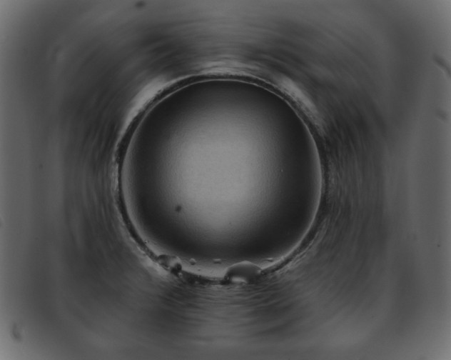 X0000093581376200710151137