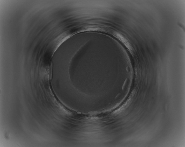 X0000093581377200710151137