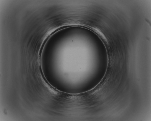 X0000093581380200710151137