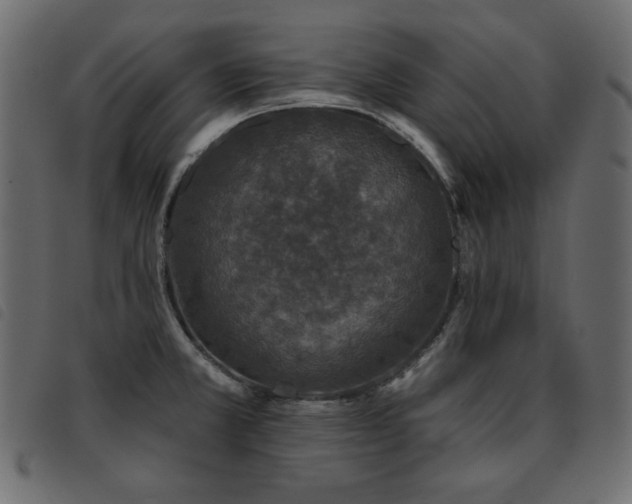 X0000093581381200710151137