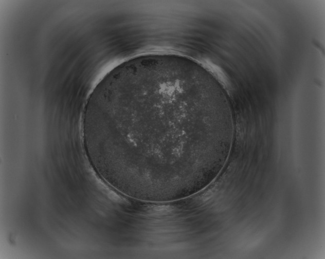 X0000093581382200710151137