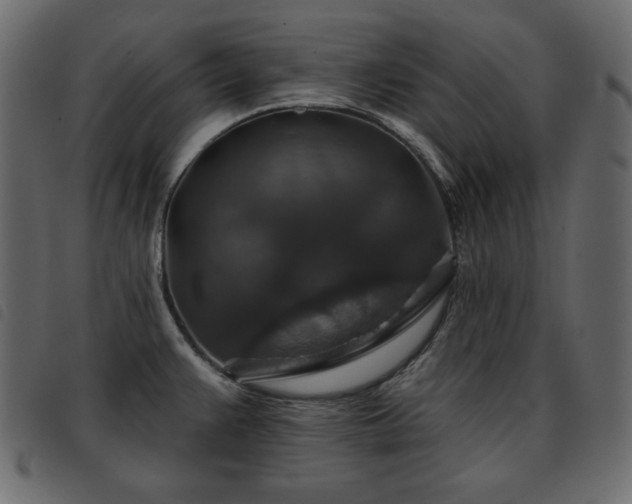 X0000093581383200710151137