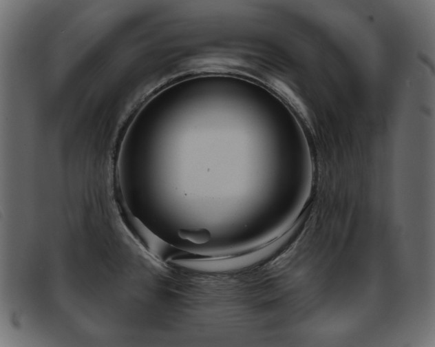 X0000093581384200710151137
