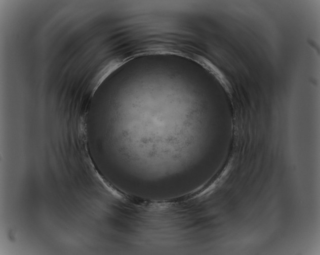 X0000093581385200710151137