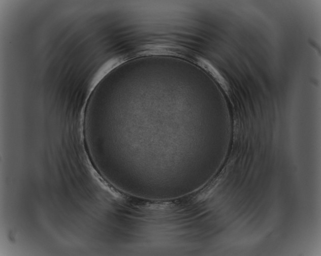 X0000093581386200710151136