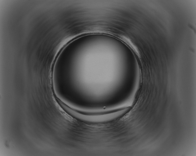 X0000093581388200710151136