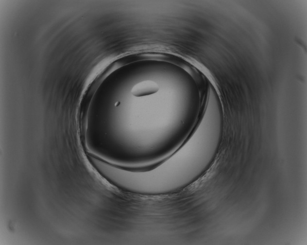 X0000093581389200710151136
