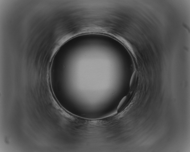 X0000093581390200710151136