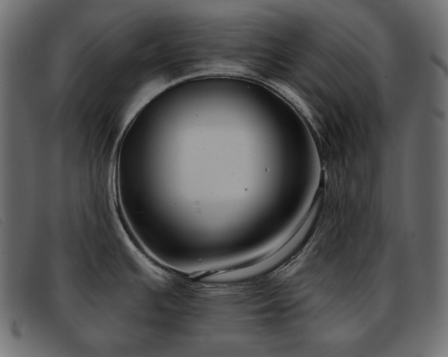 X0000093581391200710151136