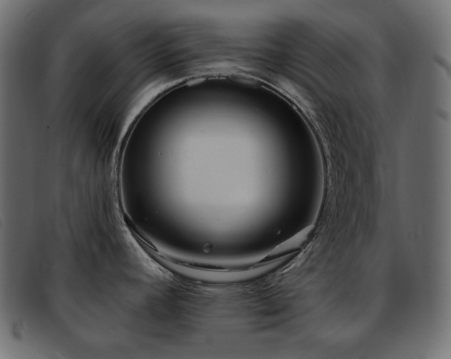 X0000093581392200710151136